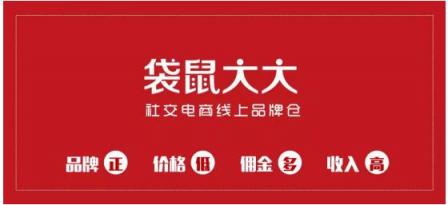 袋鼠大大：以優(yōu)質(zhì)取勝，切入社交電商新藍(lán)海