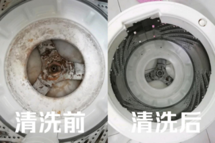 皮膚病是這么來的！洗衣機五年暗藏污垢1公斤