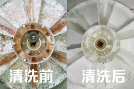 皮膚病是這么來的！洗衣機五年暗藏污垢1公斤