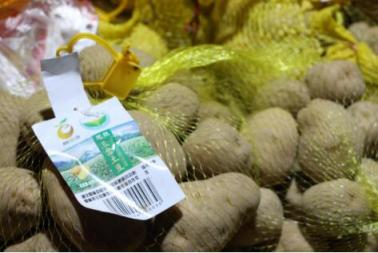 “一縣一品”讓土豆變金豆 貝店與恩施簽約合作助農(nóng)增收