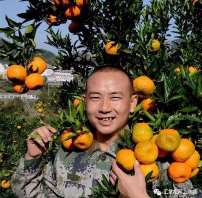 銷售200億，匯通達(dá)深化農(nóng)村服務(wù)的“互聯(lián)網(wǎng)+智慧”賦能