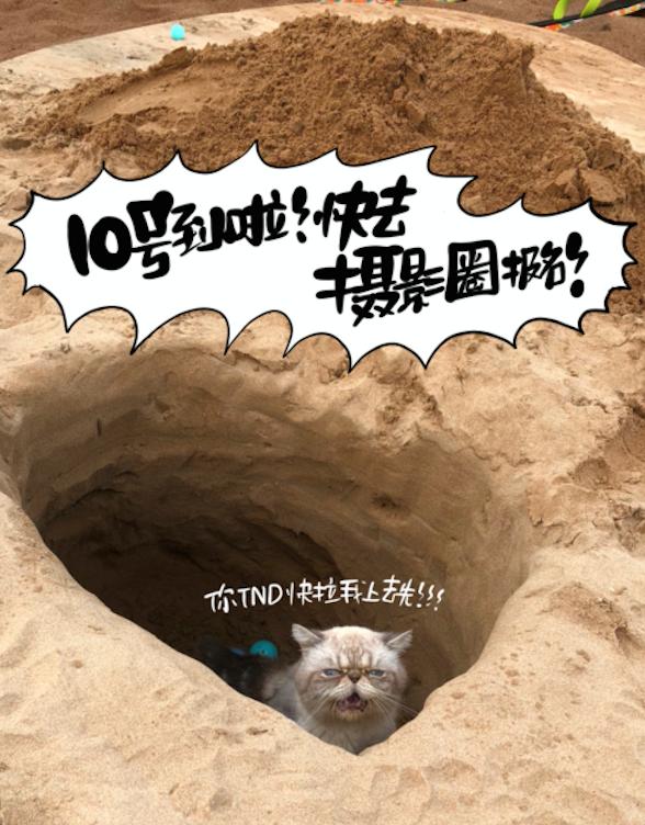 京東相機節(jié)“大師帶你去旅行”活動到底多誘人？貓咪都嚷著參加