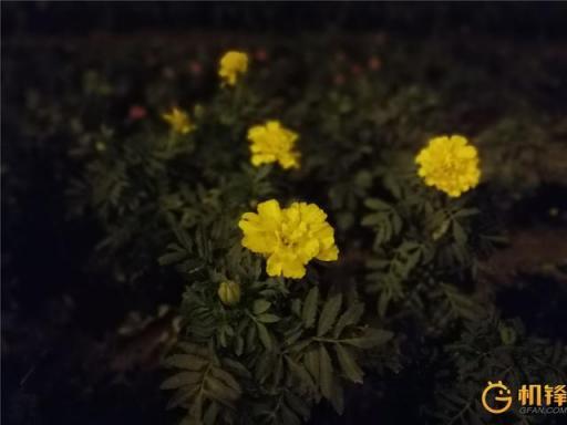AI加持到底能帶來(lái)什么？ 華為麥芒7評(píng)測(cè)