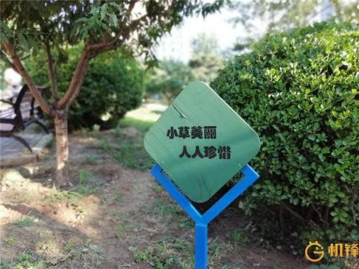 AI加持到底能帶來(lái)什么？ 華為麥芒7評(píng)測(cè)