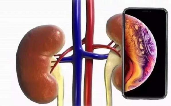 新國民旗艦聯(lián)想Z5憑什么吊打iPhone XR，這一點千萬不能忘