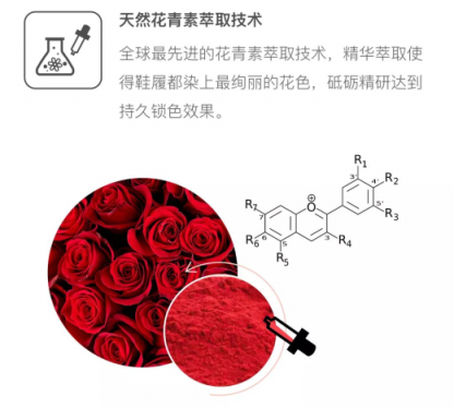 Everugg集香氣與帥氣于一身的鞋子 還有什么理由拒絕？
