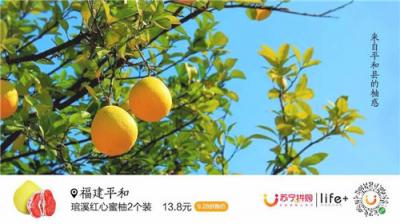 蘇寧928超級(jí)拼購(gòu)日，蜜柚單日銷量突破30萬(wàn)單