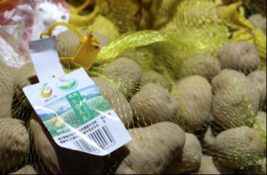 貝店的格局躍遷：從商業(yè)互聯(lián)到產業(yè)互聯(lián)