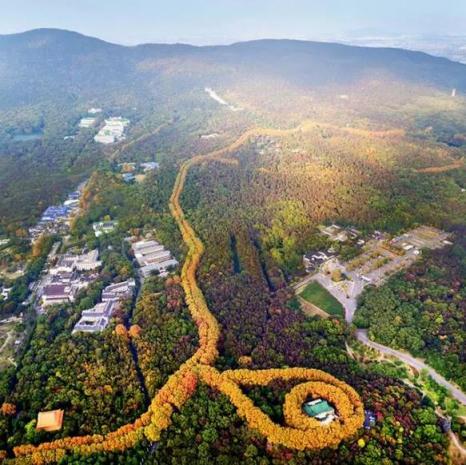 蘇寧福利“大禮包”助力南京善行者 50公里挑戰(zhàn)書等你來戰(zhàn)！
