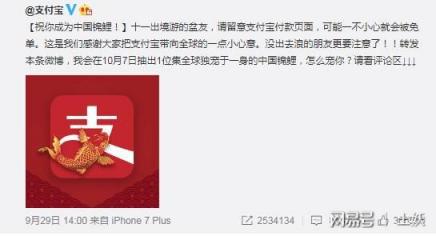 中國錦鯉“信小呆”是內(nèi)定？鬧烏龍是因為不了解這些域名常識