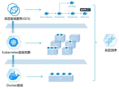 華為云全球首發(fā)基因容器 推動(dòng)基因計(jì)算邁入新紀(jì)元