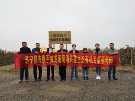 蘇寧與威龍合作，選中葡萄酒產(chǎn)地專供蘇寧