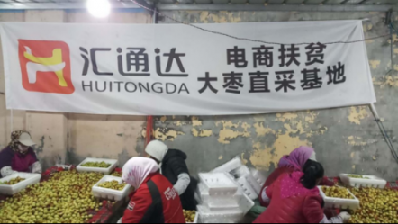 采購量50萬斤起，匯通達(dá)山東大棗農(nóng)產(chǎn)品上行單位以縣計(jì)
