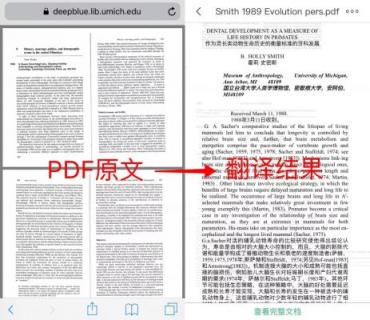 彩云小譯：中日英三語在線文檔翻譯，為外語專業(yè)學(xué)生提供“神助攻”