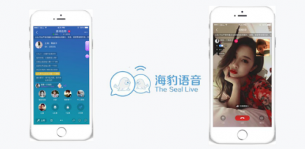 海豹聊天：社交直播產(chǎn)業(yè)的發(fā)展要瞄準95后、00后的需求