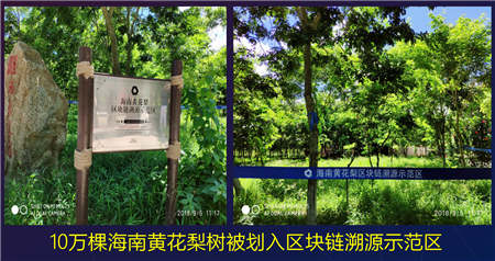 “國(guó)內(nèi)首家STO”！花梨通證（HHLC）上線幣夫交易平臺(tái)