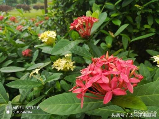 兼顧設(shè)計(jì)與拍照，魅族Note8、X8媒體口碑炸裂