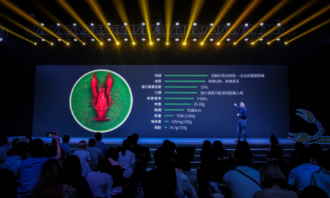 互聯(lián)網(wǎng)公司雙十一員工減壓出新招，網(wǎng)易“豬場(chǎng)”變“鵝廠”？