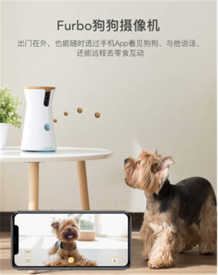 北美暢銷的養(yǎng)狗神器Furbo正式入駐國內(nèi)，開啟智能養(yǎng)寵新時代