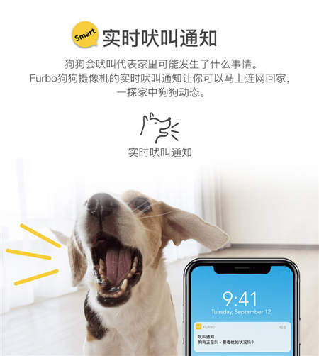 北美暢銷的養(yǎng)狗神器Furbo正式入駐國內(nèi)，開啟智能養(yǎng)寵新時代