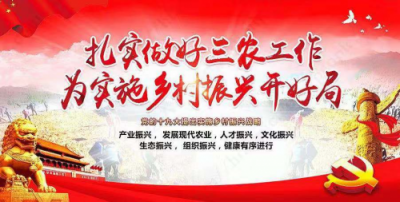 蘇寧零售云助力鄉(xiāng)村振興，改革開放40年要“全民造富”！