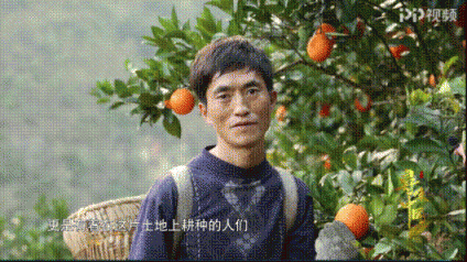 改革開放40周年，蘇寧成“鄉(xiāng)村振興”企業(yè)代言人