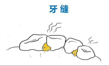 沖牙器是否值得購買？看了這篇沖牙器排行榜就會知道！