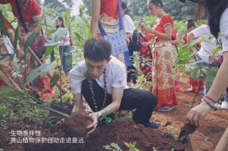復建生物多樣性，DRPLANT植物醫(yī)生助力美麗中國