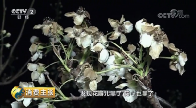 屢獲央視點(diǎn)贊的蘇寧電商扶貧到底是什么樣的？?jī)蓚€(gè)字：造血
