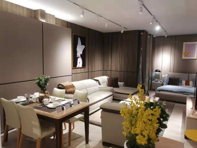 蘇寧智慧零售業(yè)態(tài)再升級(jí)，構(gòu)筑品質(zhì)消費(fèi)增長(zhǎng)新公路