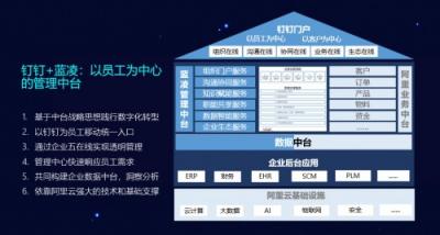 阿里釘釘無招：釘釘+藍凌，共同賦能企業(yè)數(shù)字化轉(zhuǎn)型