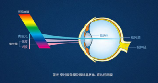 在家上網(wǎng)課如何保護視力？解讀步步高家教機S5護眼黑科技