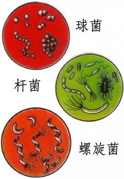 一次洗凈，從不拖泥帶水！華帝洗消烘存一體機H5洗得安心用的放心