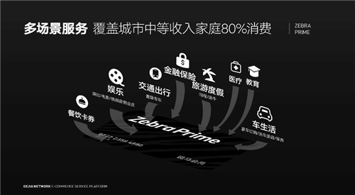 斑馬會員押注“疫后消費”，會員制電商能否抓住增長高點？