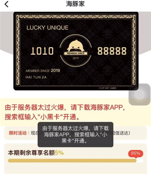 品牌C位計(jì)劃推出，首創(chuàng)海豚家小黑卡吸睛亮相