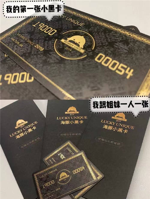 品牌C位計(jì)劃推出，首創(chuàng)海豚家小黑卡吸睛亮相