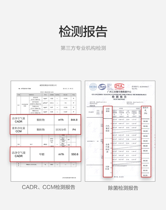 楊柳絮泛濫引發(fā)過(guò)敏癥，IAM空氣凈化器助你遠(yuǎn)離過(guò)敏“元兇”