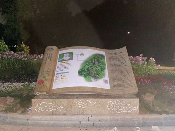 旅游消費市場逐步復(fù)蘇，驢跡科技業(yè)績亮眼