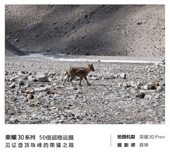 高人為峰，中國登山隊沖頂成功，榮耀30系列50倍長焦見證珠峰新高度