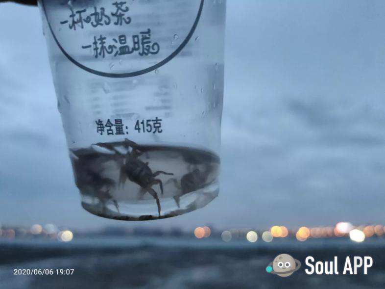 Soul網(wǎng)友不孤獨(dú)合影：那些治愈生活的溫暖瞬間