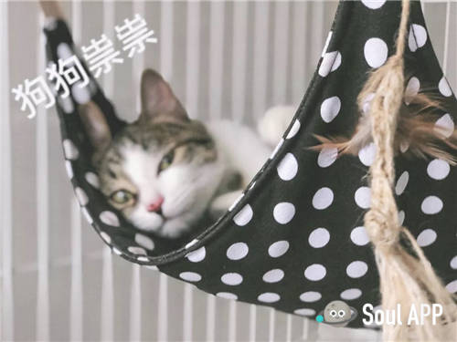 Soul網(wǎng)友不孤獨(dú)合影：那些治愈生活的溫暖瞬間