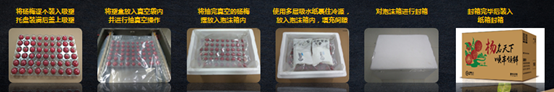 助力城鄉(xiāng)農(nóng)業(yè)特色經(jīng)濟走上新臺階！順豐升級楊梅寄遞行業(yè)解決方案