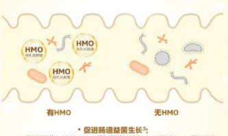 合生元HMO配方奶粉三大強化配方組合，建造更穩(wěn)定的成長壁壘