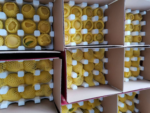 棗陽皇桃C位已定，蘇寧天天瘋狂打投！