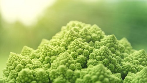 如何補充維生素？不同食物搭配多種維生素礦物質(zhì)片