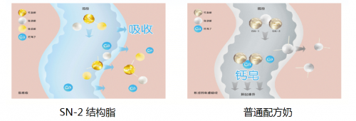 sn-2 plus奶粉親和好吸收，解決寶寶喂養(yǎng)難題