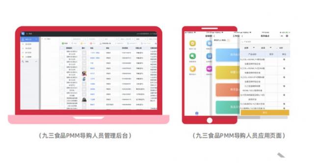 玄訊洞見｜“數(shù)字化”導(dǎo)購大翻身，且看九三食品如何利用數(shù)字化賦能導(dǎo)購管理？