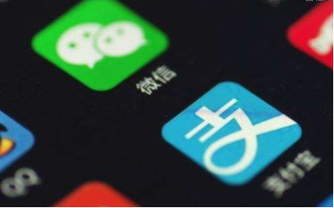互聯(lián)網(wǎng)巨頭們都在打造“生態(tài)閉環(huán)” ，支付寶被下架不稀奇！