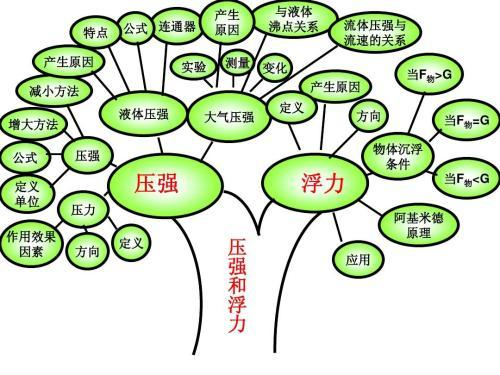 中考學(xué)霸怎樣煉成？“學(xué)習(xí)力”才是關(guān)鍵