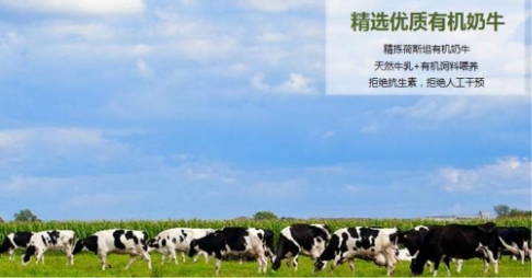 國(guó)產(chǎn)有機(jī)奶粉如何選擇，專業(yè)寶媽更看好君樂寶優(yōu)萃有機(jī)奶粉！
